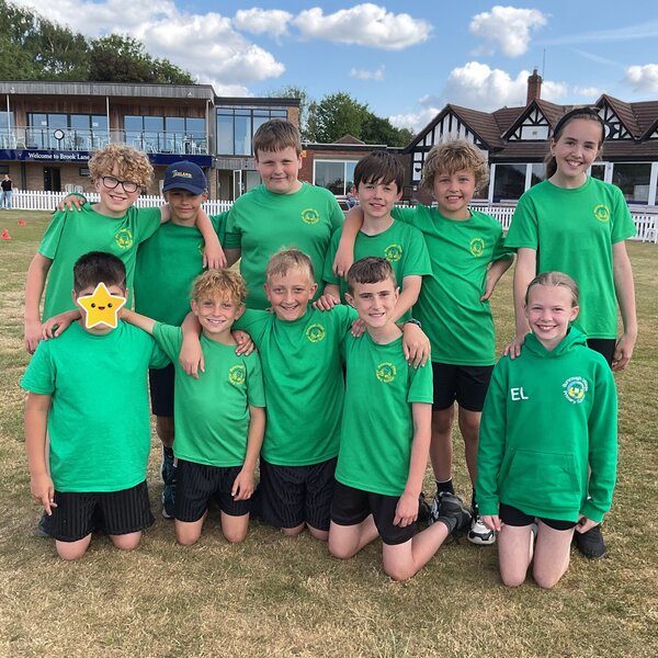 Image of Mixed Cricket Success!