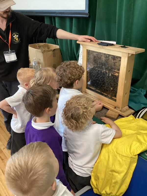 Image of Year 1 Bee Centre Visit