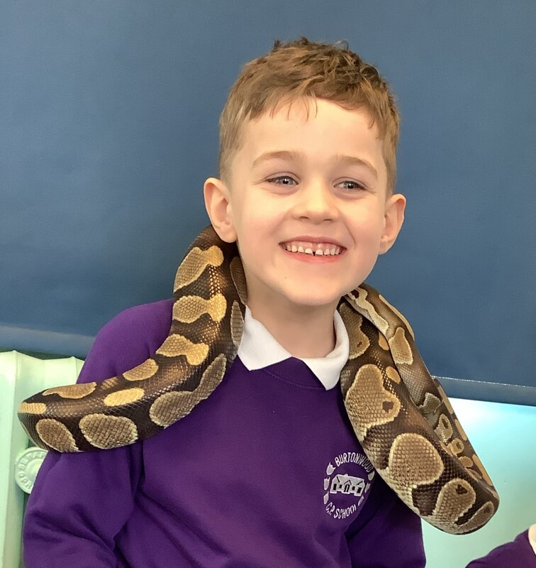 Animals Take Over | Burtonwood Community Primary School