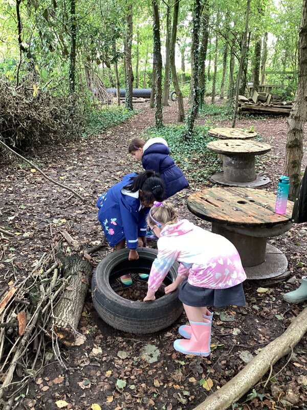 Image of Forest School - 'Willow Wood'