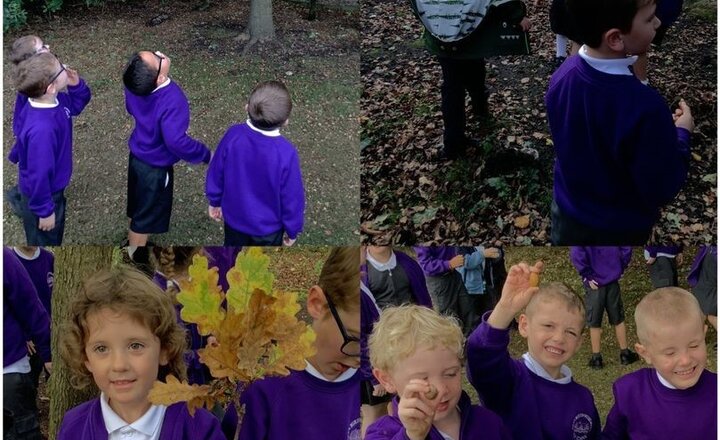 Image of Year 1 Geography - Weather