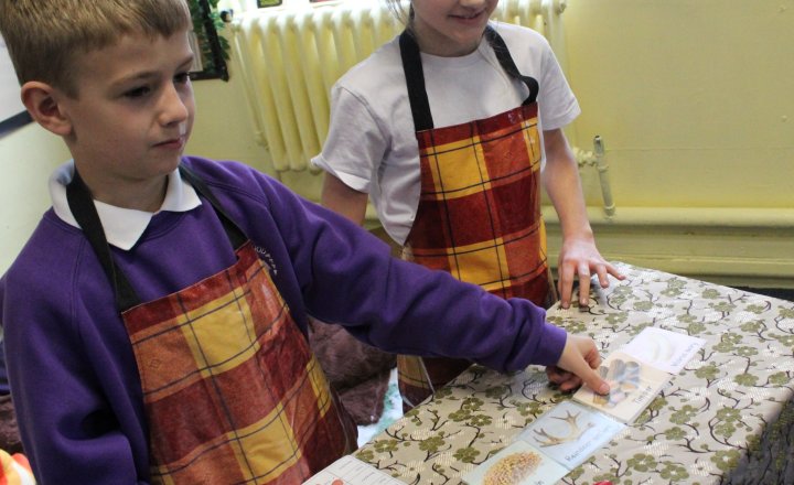 Image of Year 5 History – Viking Trading