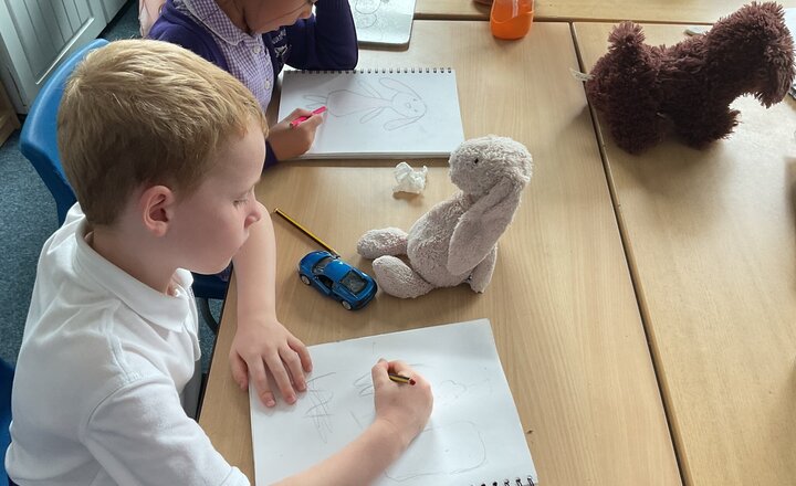 Image of Year 2 Art - Observational Drawings