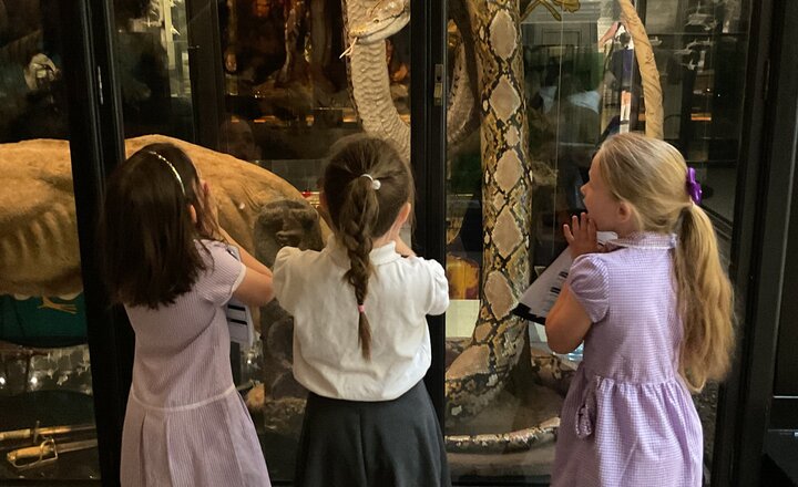Image of Year 3 Trip to Manchester Museum
