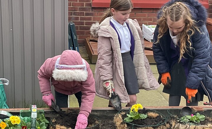 Image of Eco Club Gardening Update February 2026