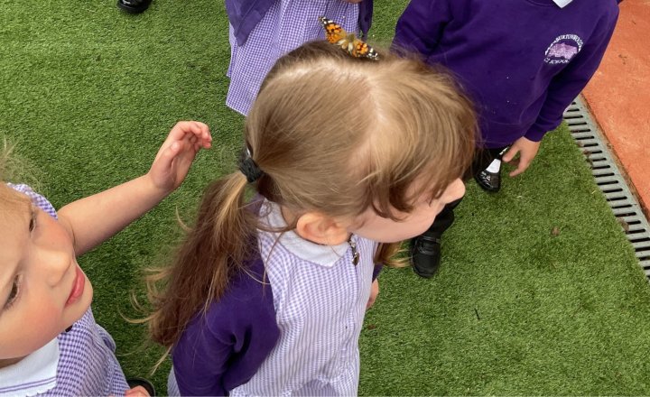 Image of Reception Release Their Butterflies