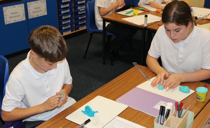 Image of Year 6 Science - Invertebrates