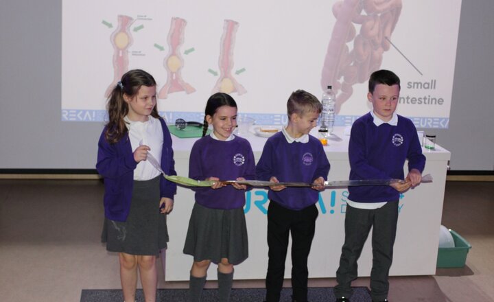 Image of Year 4 Trip to Eureka 2025