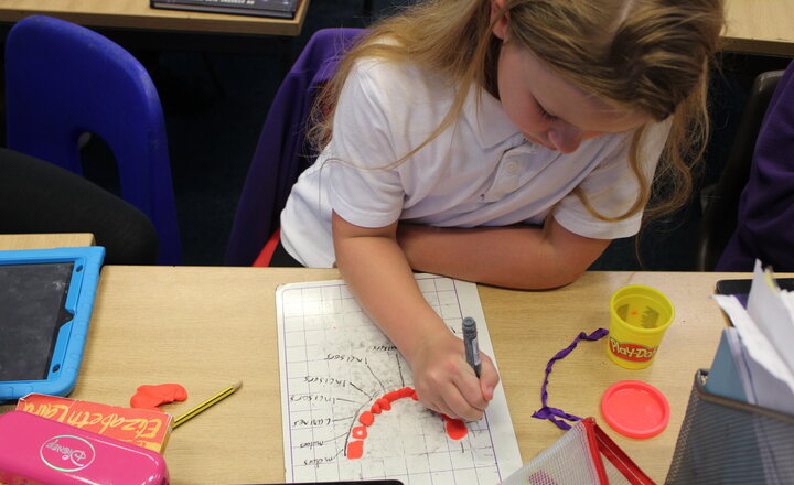 Image of Year 4 Science - Teeth