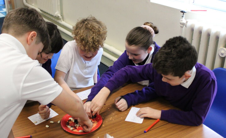 Image of Year 6 Science - Modelling Natural Selection