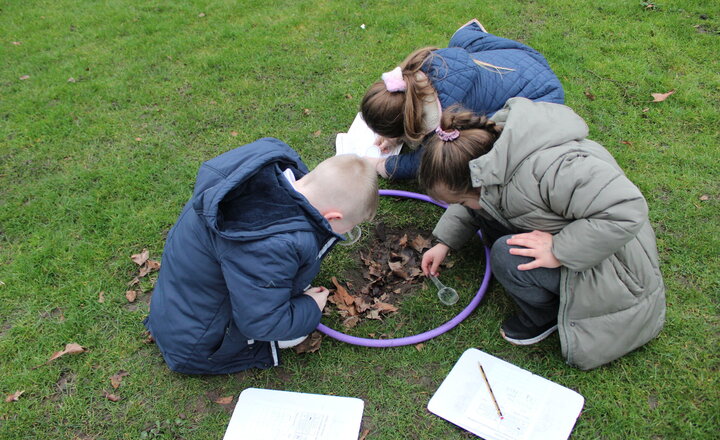 Image of Year 2 Geography - Habitats