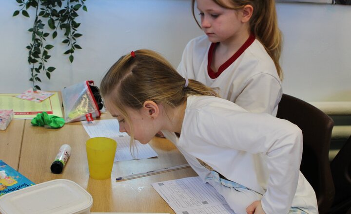 Image of Year 4 Science Investigation - Heat Energy