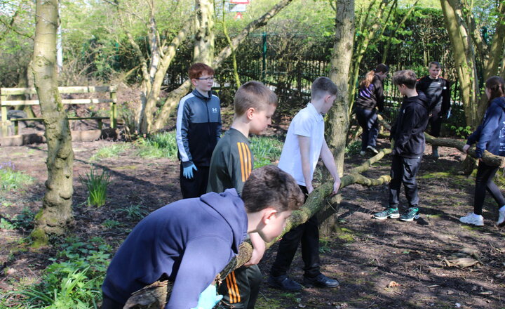 Image of Willow Wood Update