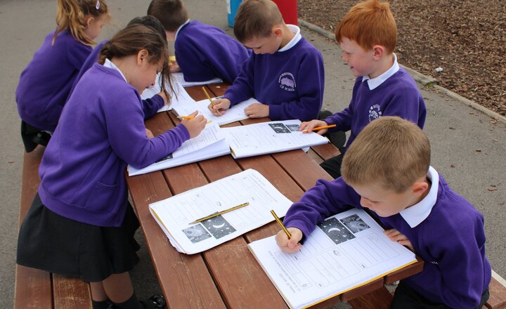 Image of Year 1 Explore the Senses