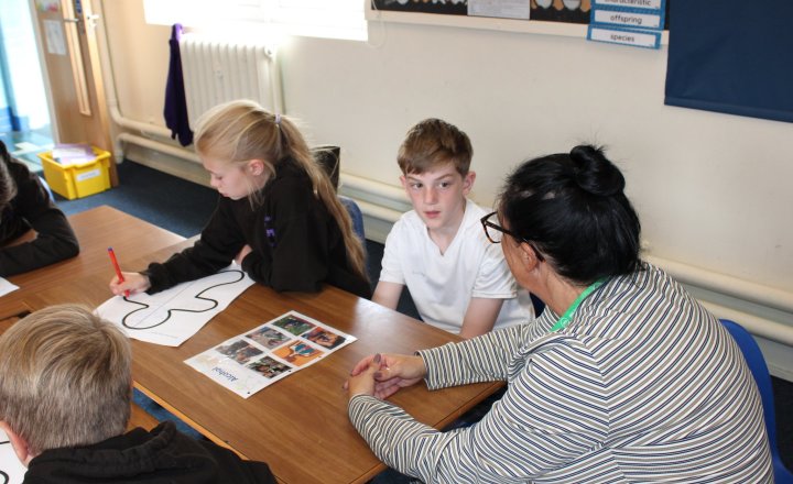 Image of Year 6 – Would You Risk It? Workshop