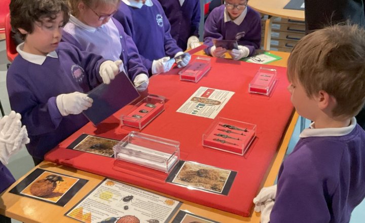 Image of Year 3 Trip to Liverpool Museum 2026