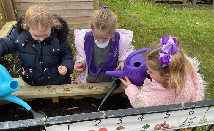 Image of Reception - Growing