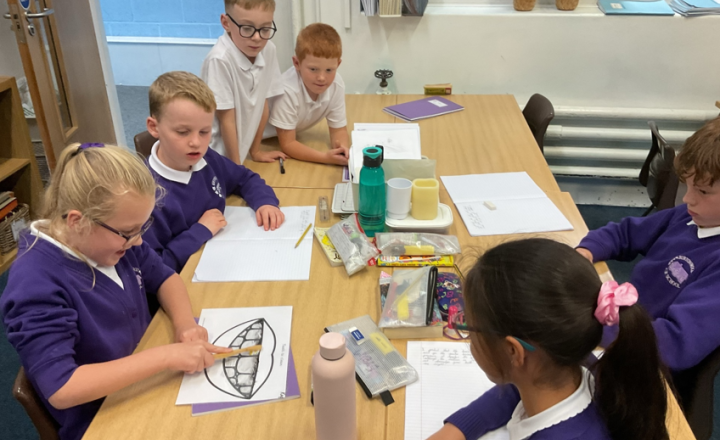 Image of Year 4 Science - Investigating Toothbrush Effectiveness