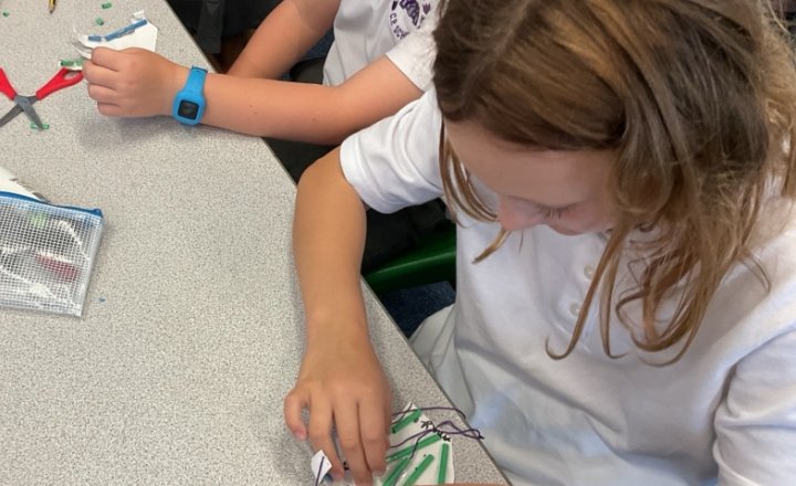 Image of Year 3 Science - Muscles and Movement
