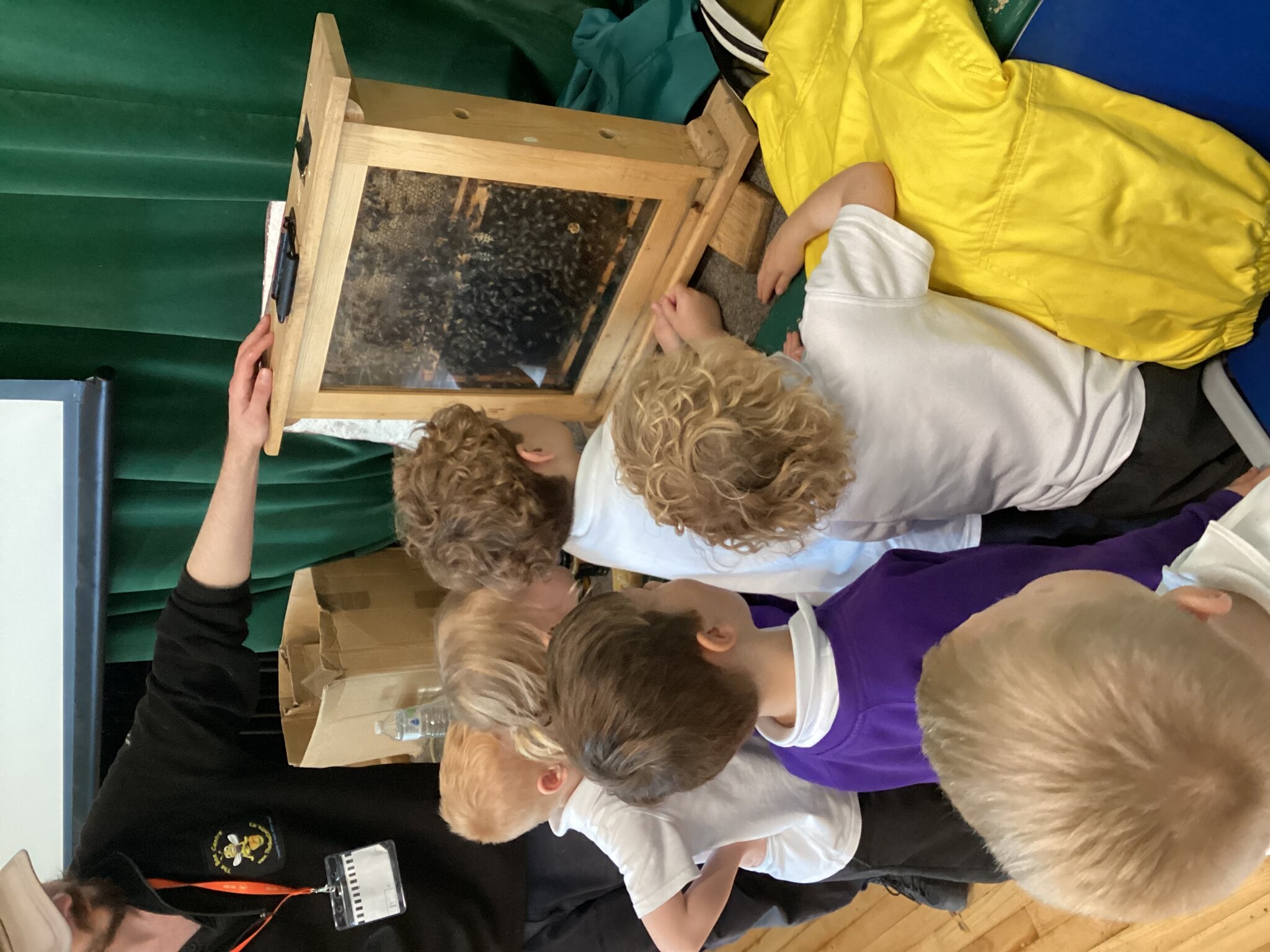 Image of Year 1 Bee Centre Visit