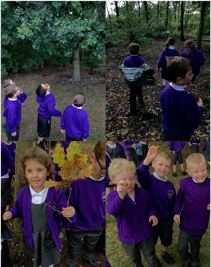 Image of Year 1 Geography - Weather