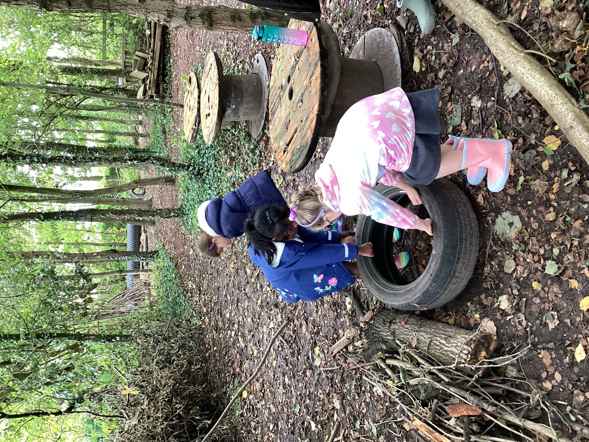 Image of Forest School - 'Willow Wood'