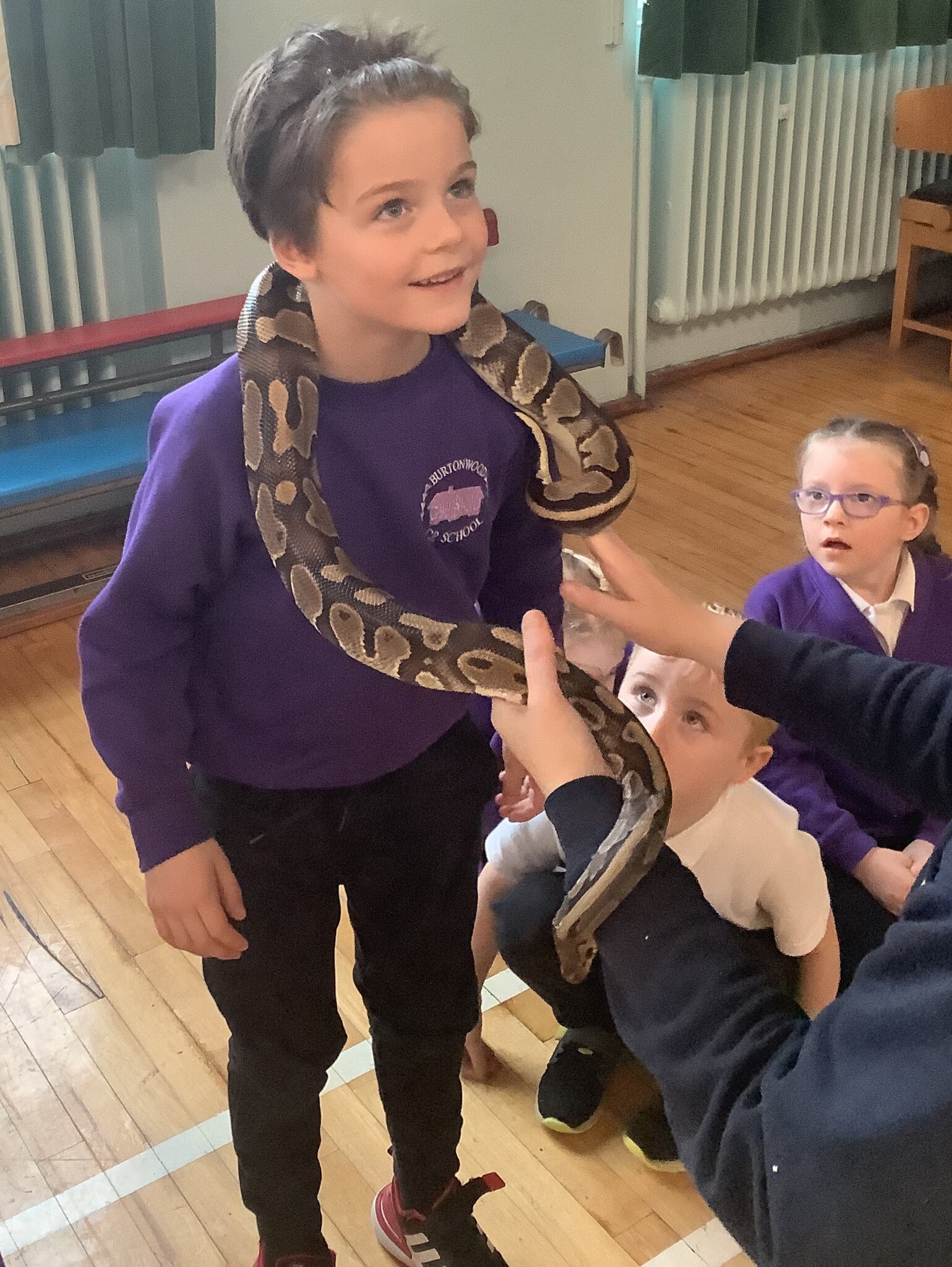 Image of Year 1 Showcase Assembly