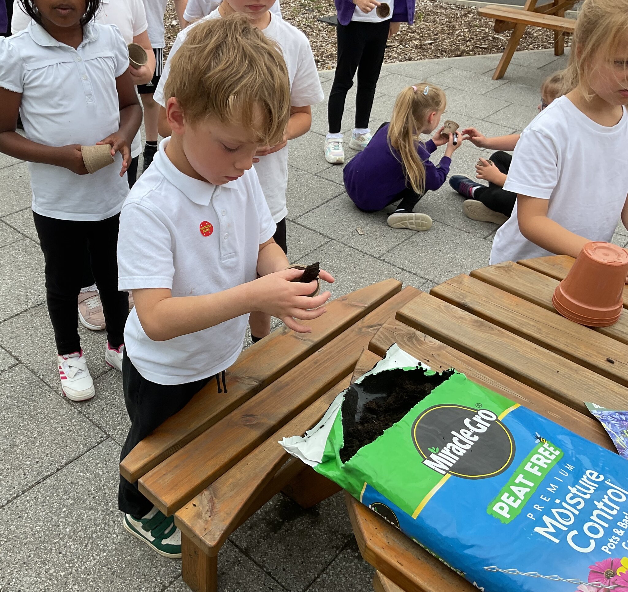 Image of Year 2 Science - Plants
