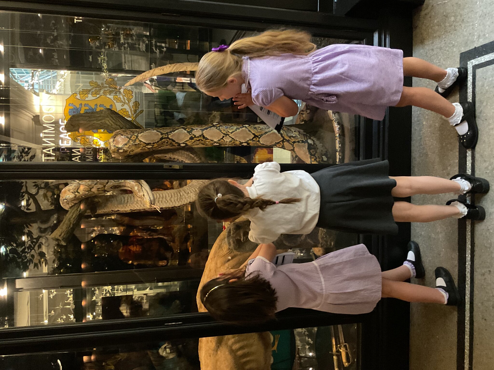 Image of Year 3 Trip to Manchester Museum