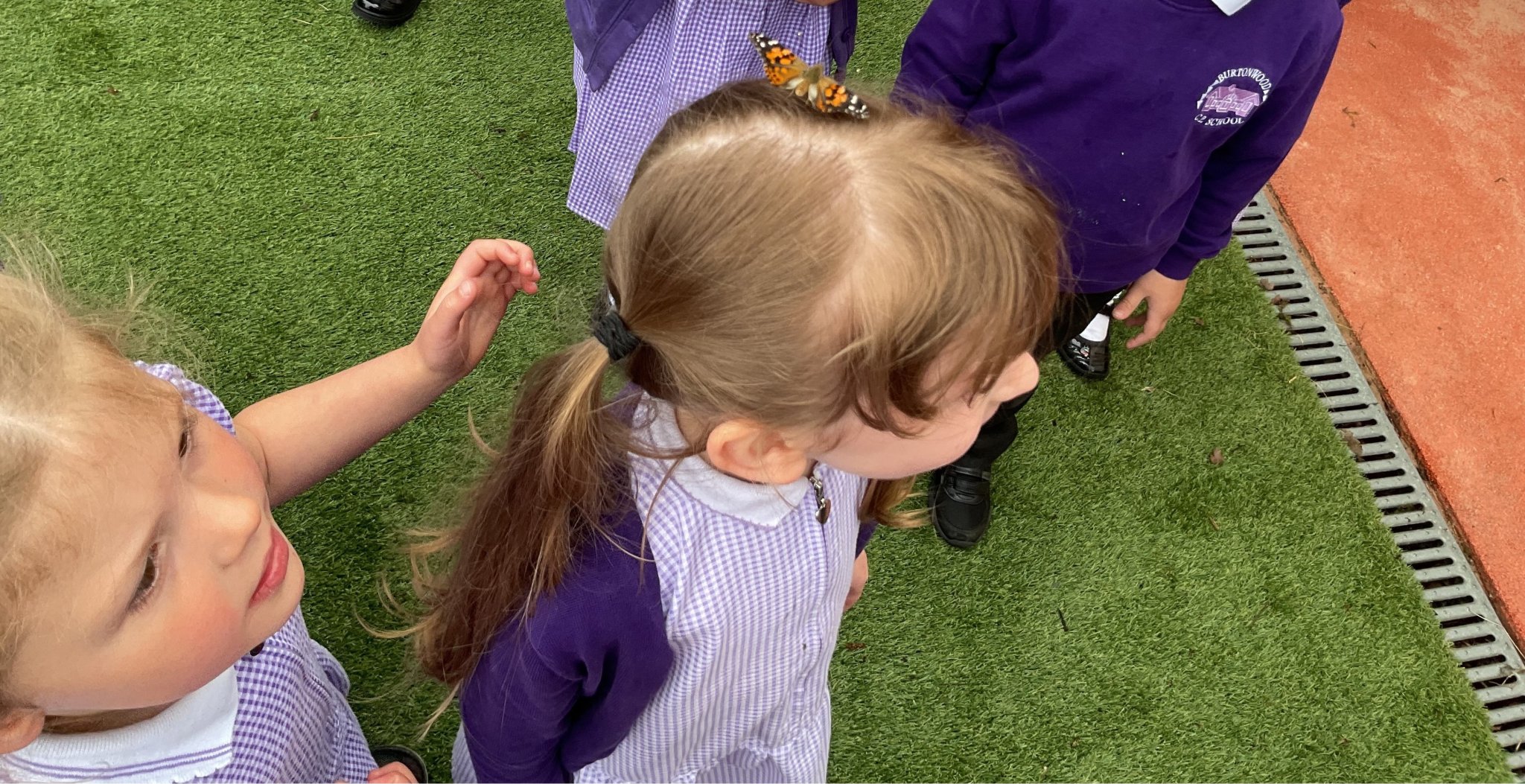 Image of Reception Release Their Butterflies