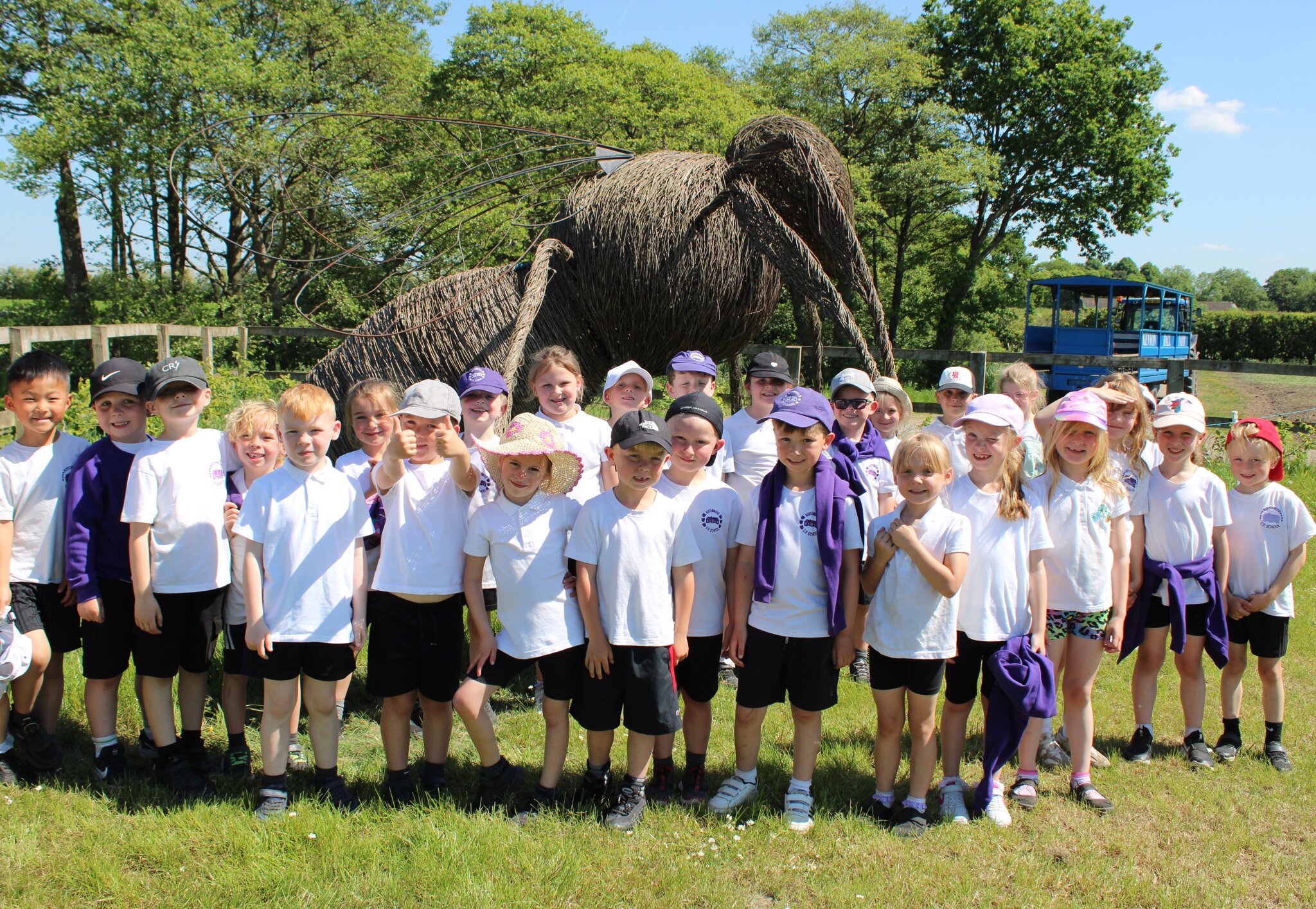 Image of Year 1 Trip to Kenyon Hall Farm