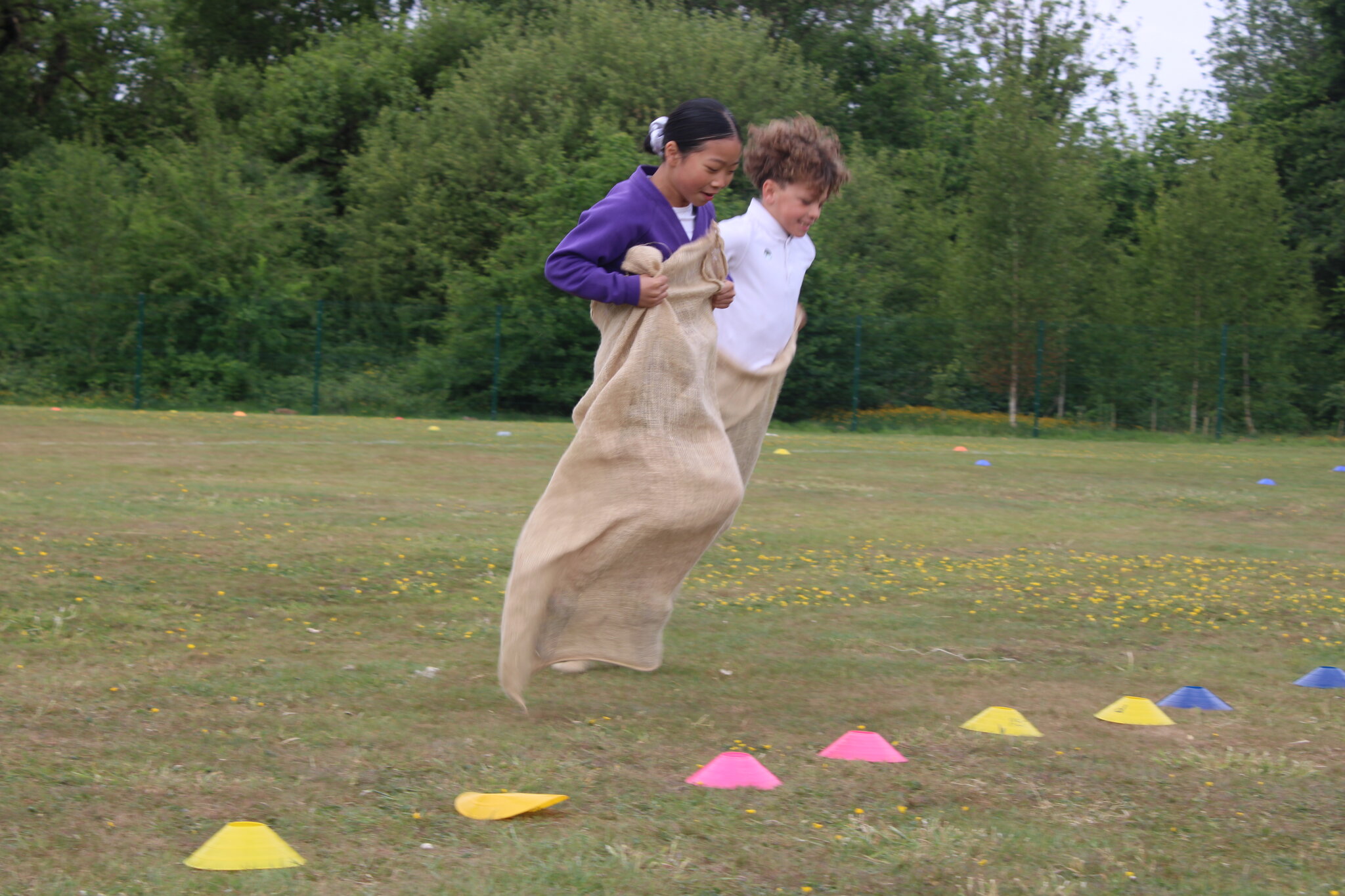 Image of Sports Day 2025