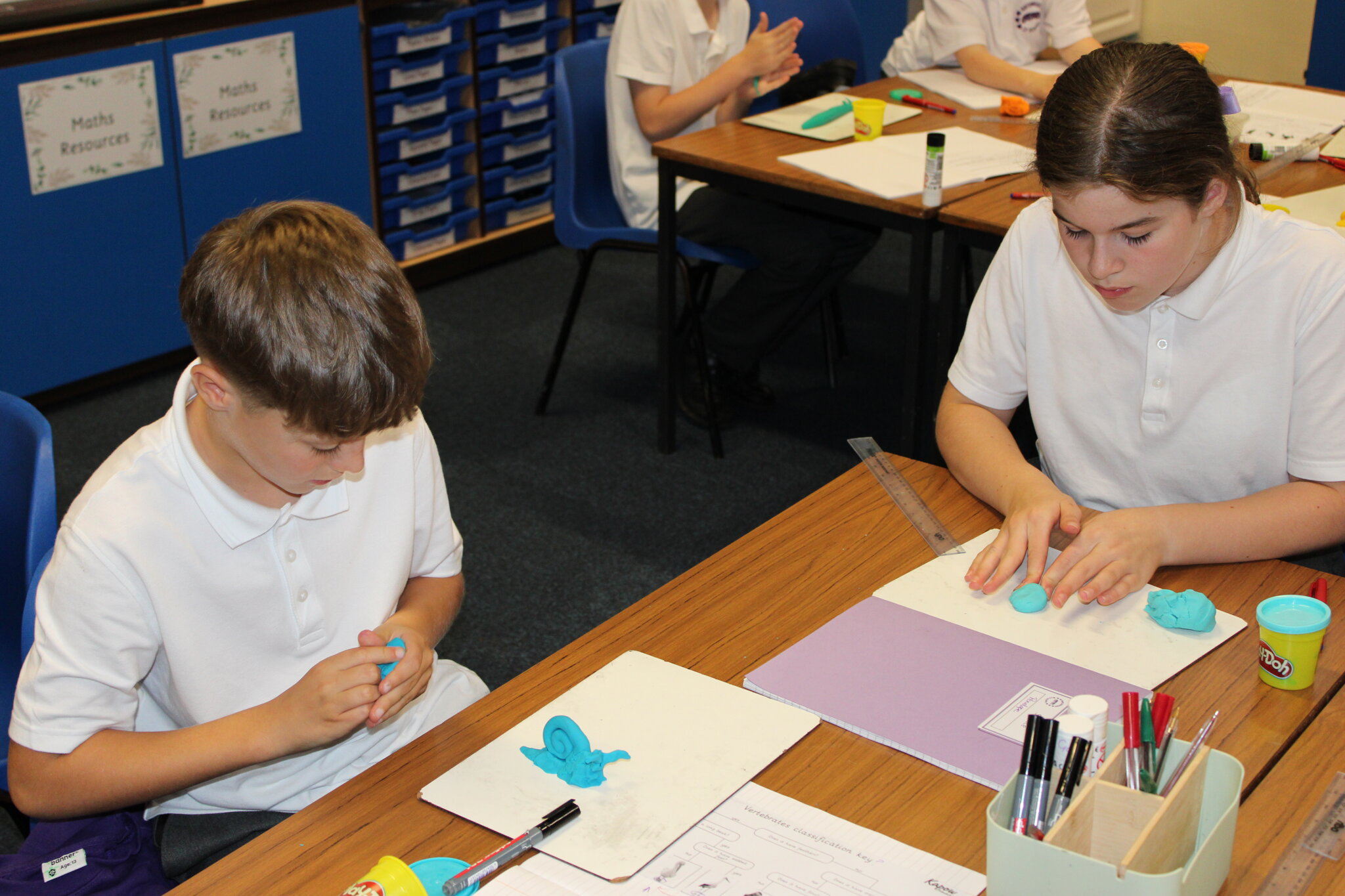 Image of Year 6 Science - Invertebrates