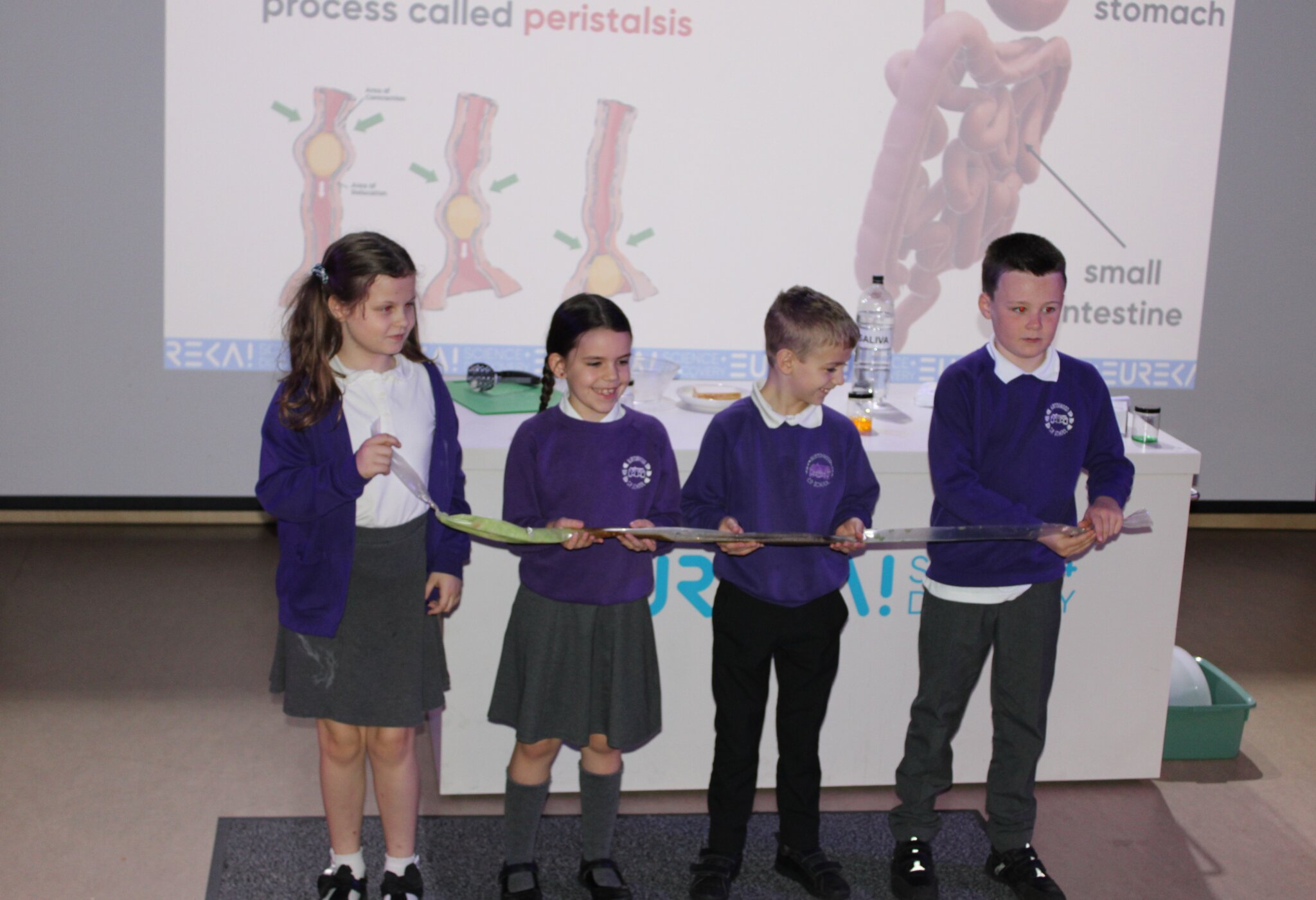 Image of Year 4 Trip to Eureka 2025