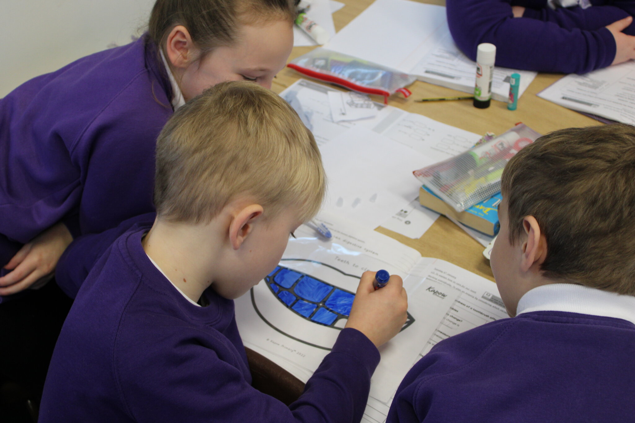 Image of Year 4 Science - Tooth Brushing