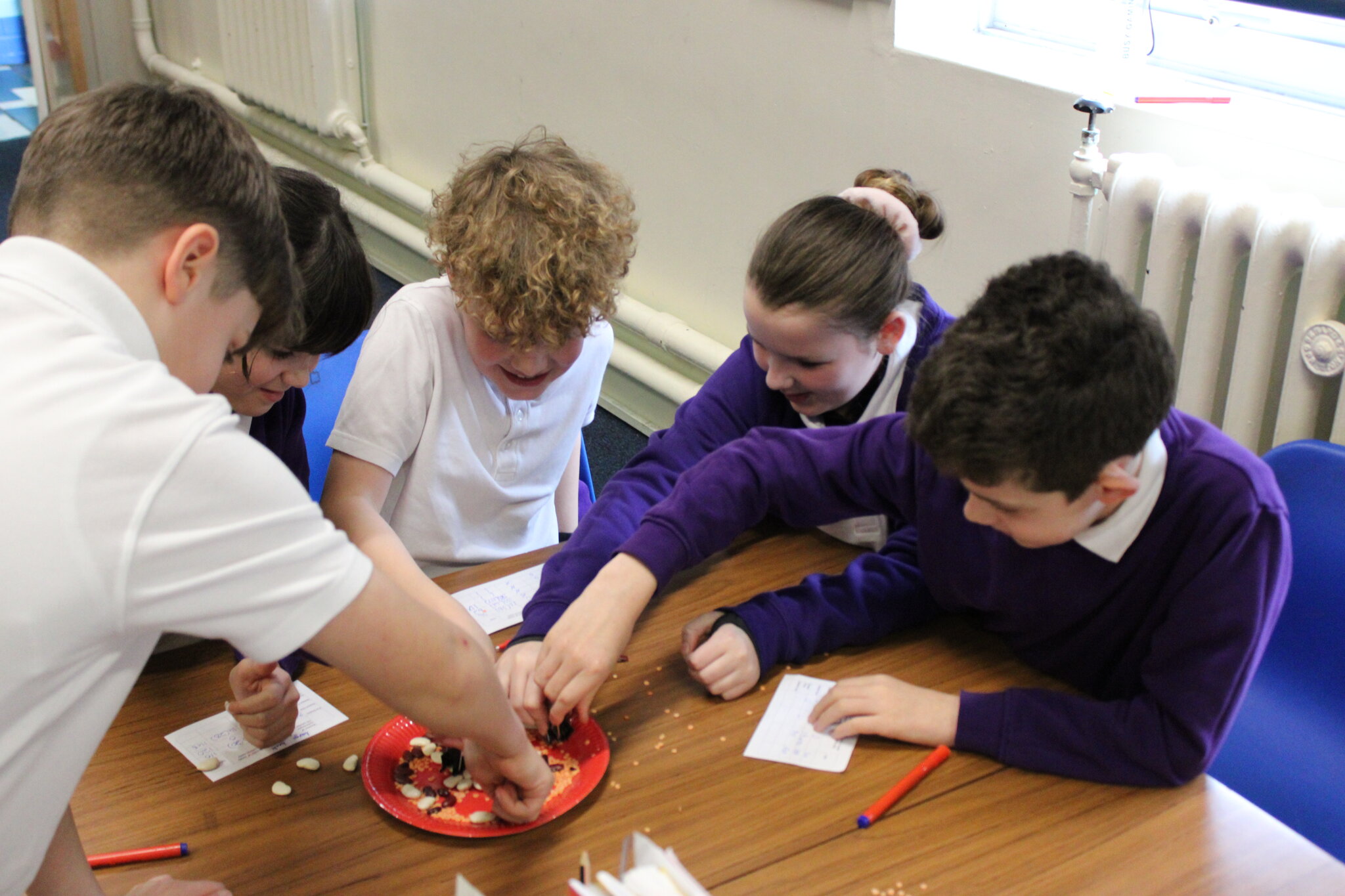 Image of Year 6 Science - Modelling Natural Selection