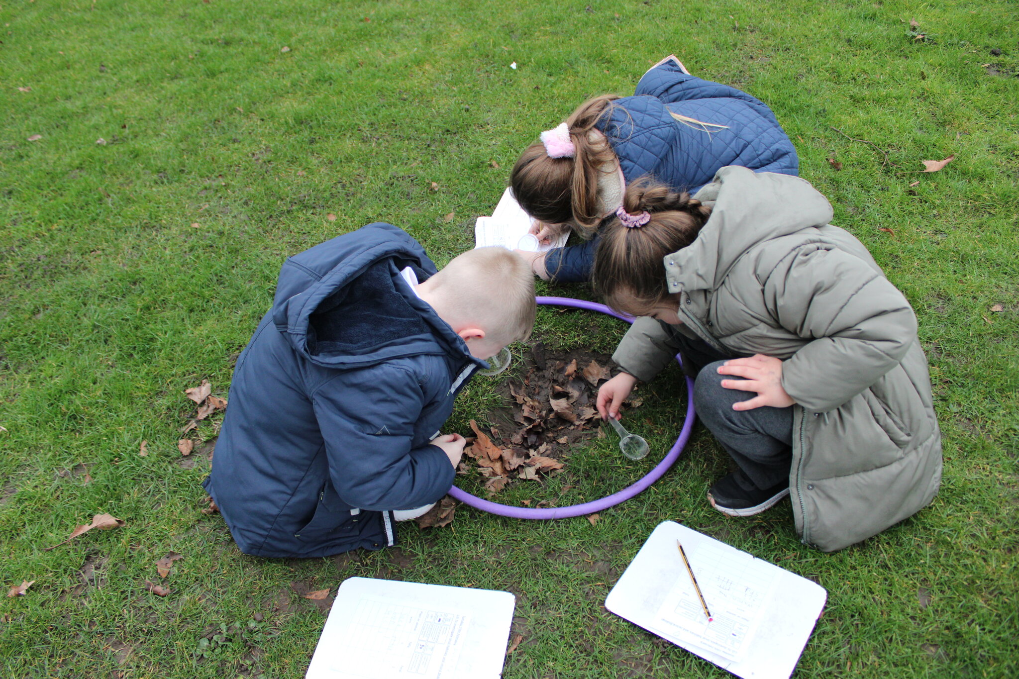 Image of Year 2 Geography - Habitats