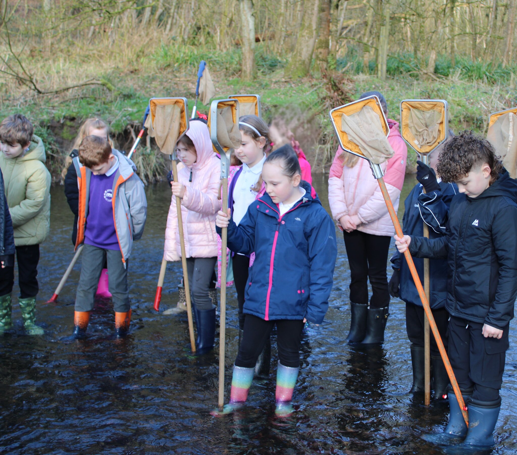 Image of Year 4 Trip to Cuerden Valley Park - 2026