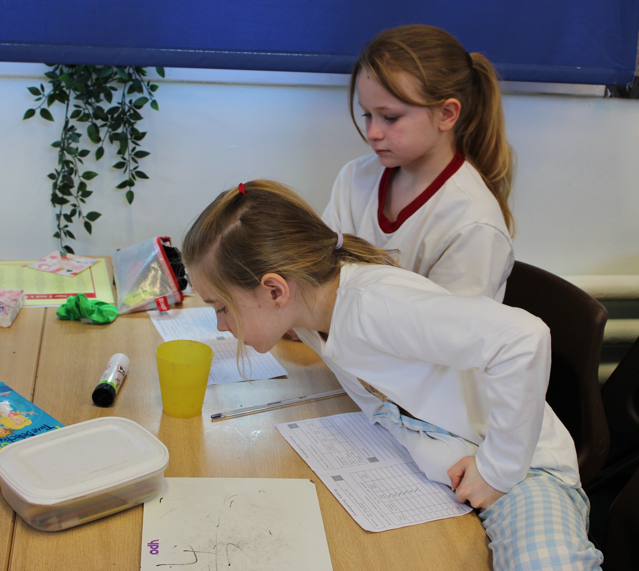 Image of Year 4 Science Investigation - Heat Energy