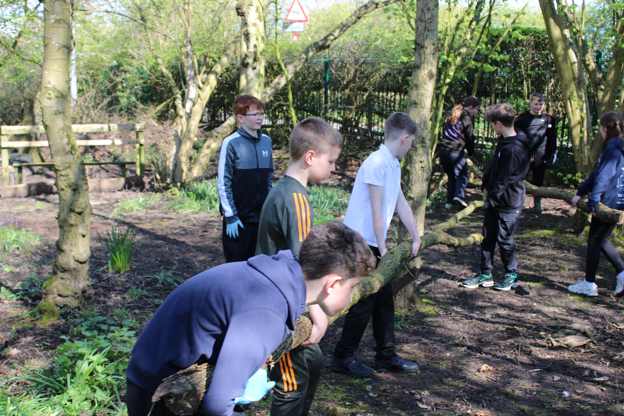 Image of Willow Wood Update