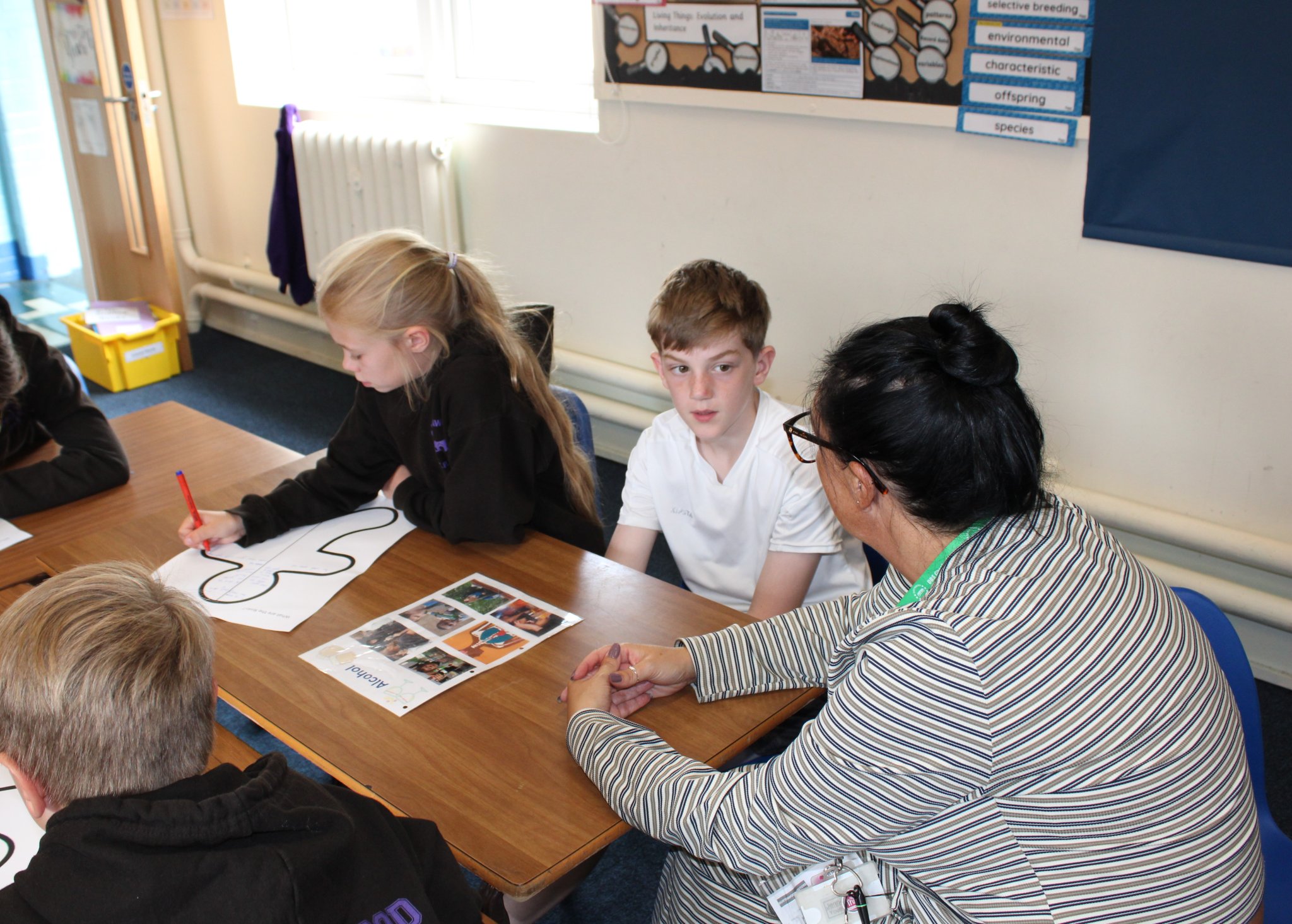 Image of Year 6 – Would You Risk It? Workshop