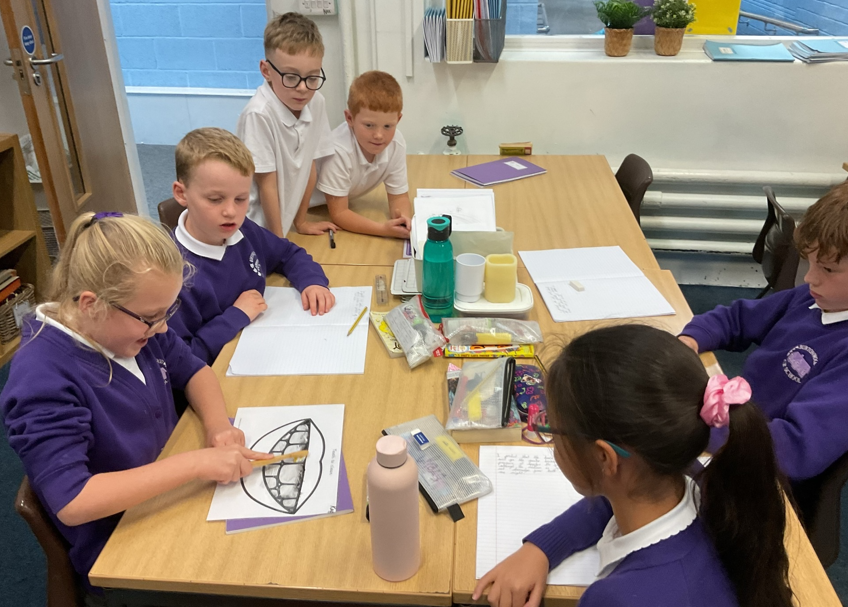 Image of Year 4 Science - Investigating Toothbrush Effectiveness
