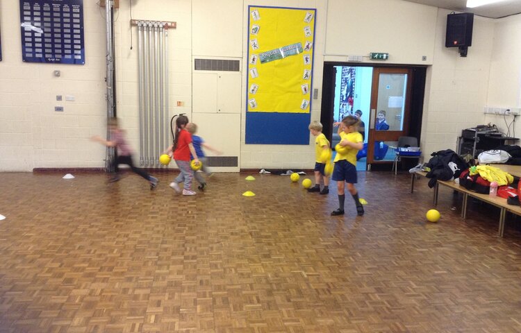 Image of Multi Skills