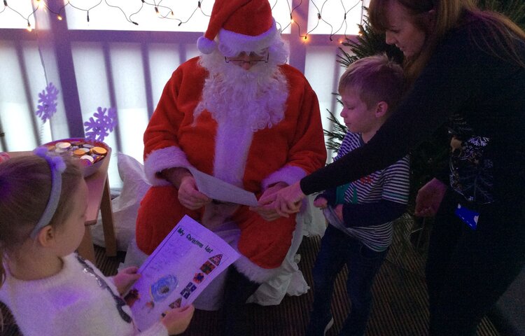 Image of Ducklings meet Father Christmas