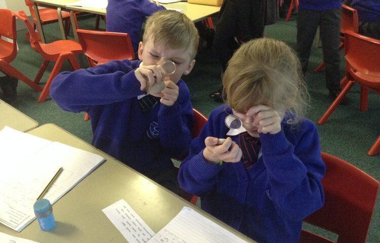 Image of *Doves learn about rocks in science