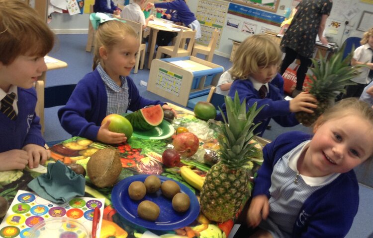 Image of Tasting Tropical Fruits