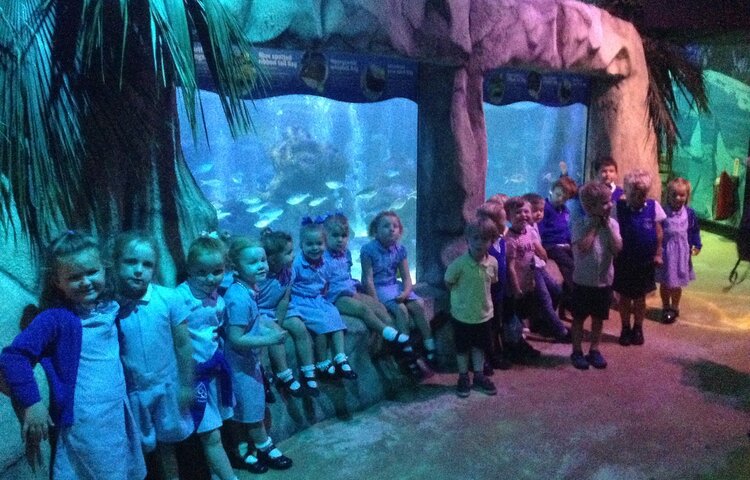 Image of SeaLife Trip