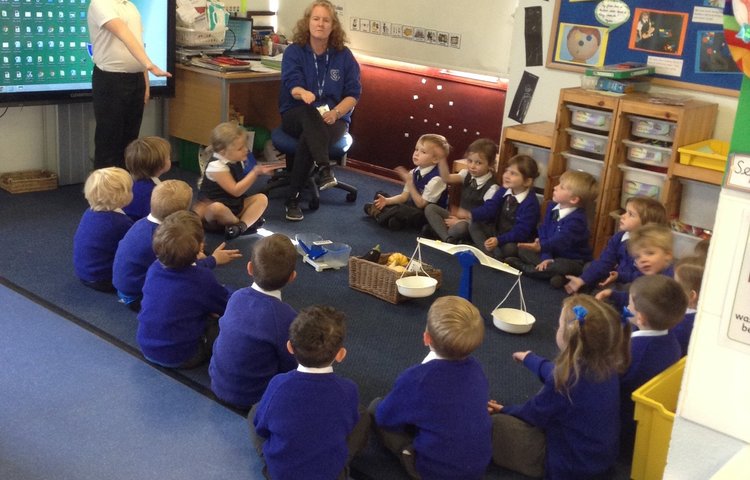 Image of Ducklings learn sign language