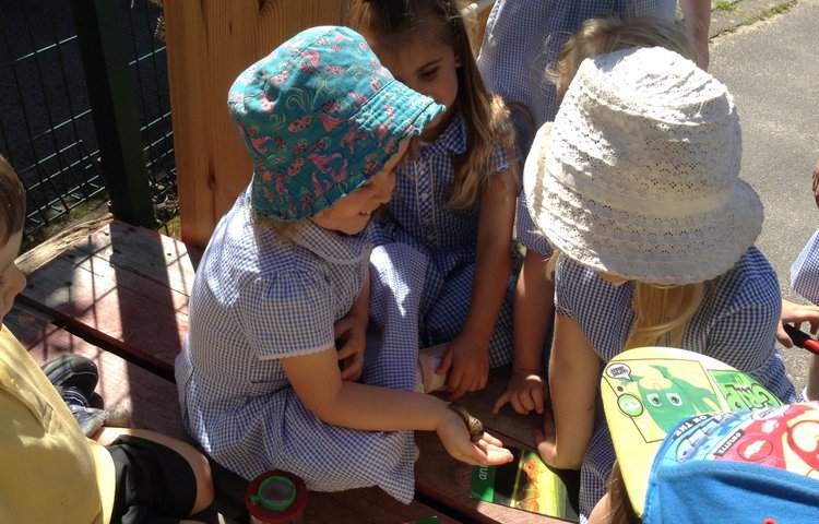 Image of exploring minibeasts