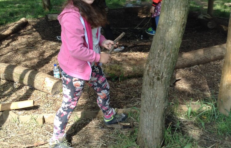 Image of Brockholes; I am A Celebrity...Get Me Out Of Here!!!